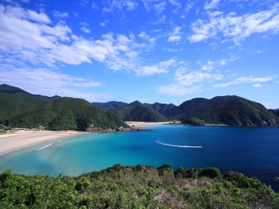 Takahama 