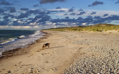 Tisvildeleje strand