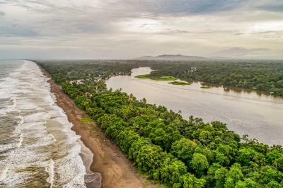 Tortuguero 