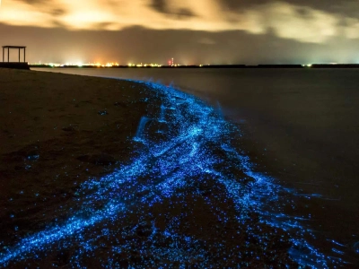 Vaadhoo Island 