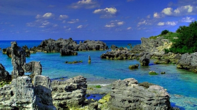 Whale Bay 