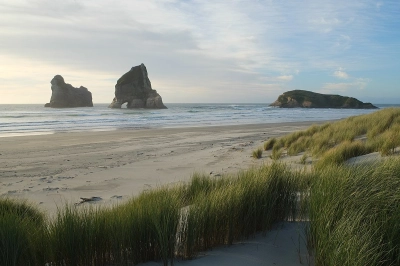 Wharariki 