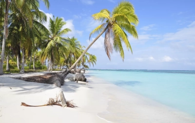 Zapatilla Islands 