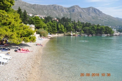 Zupa 